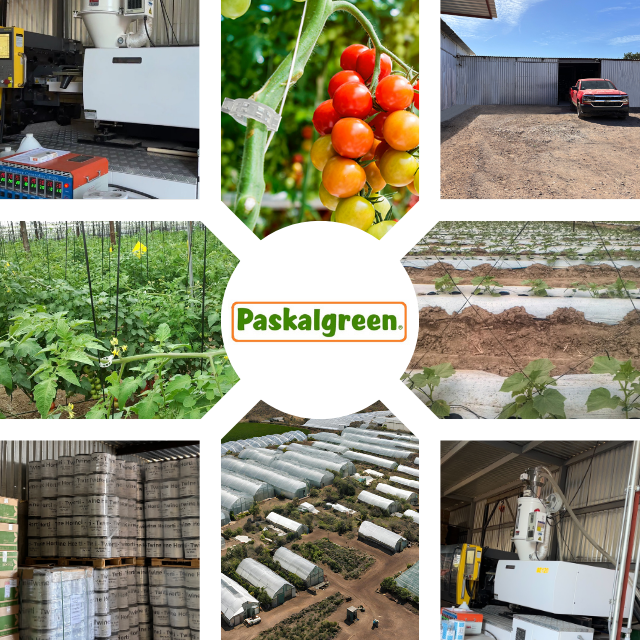 Paskalgreen%20Houses